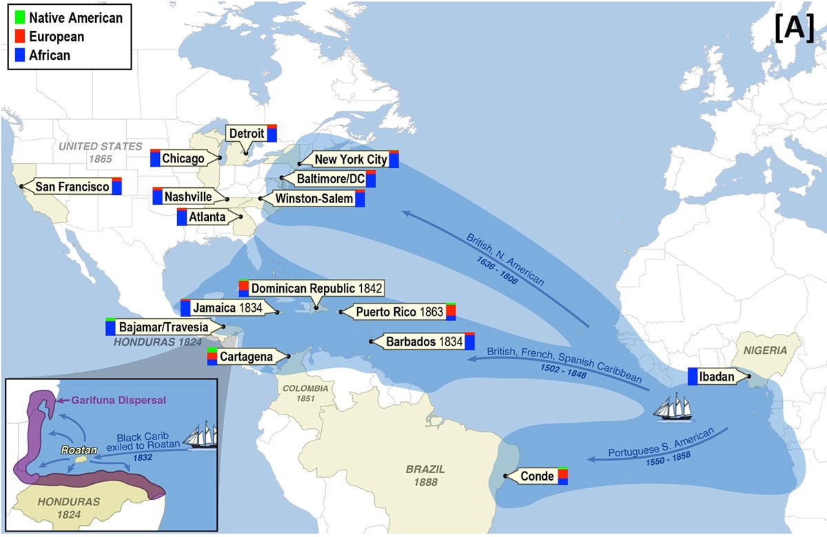 Migration of the African diaspora