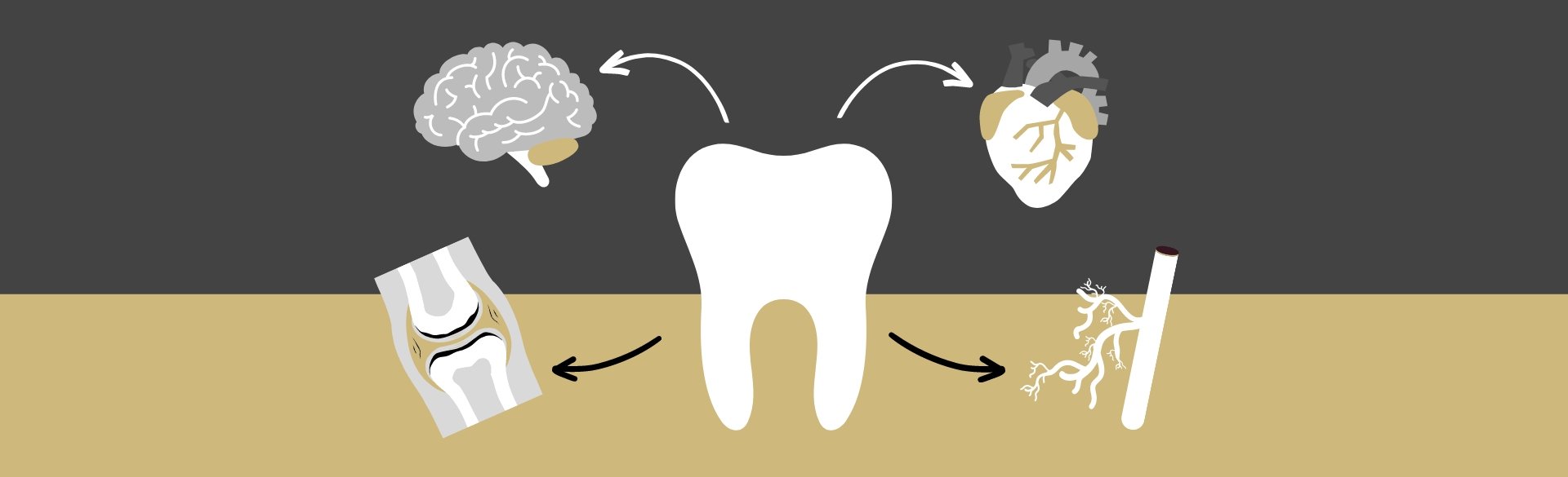 Ggrapic of a tooth surrounded by brain, heart, joint and blood vessel