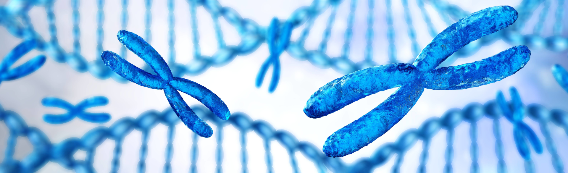 genetics