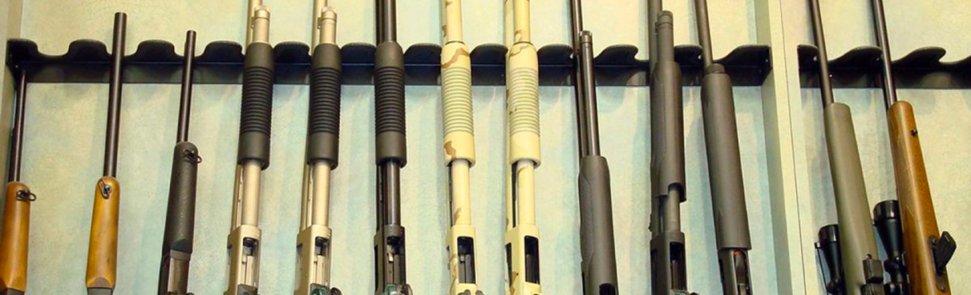 out-of-home-gun-storage