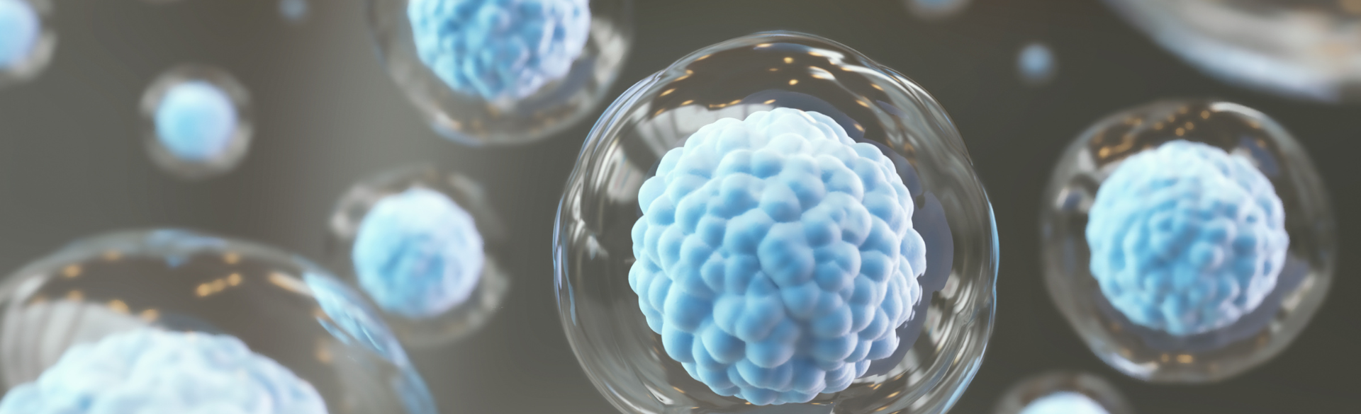 cells